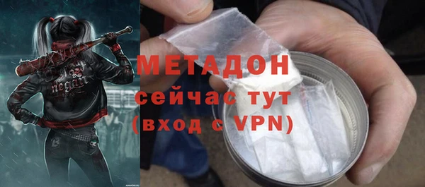 гашик Алексин