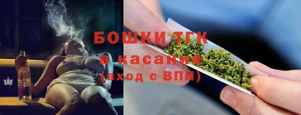 гашик Алексин