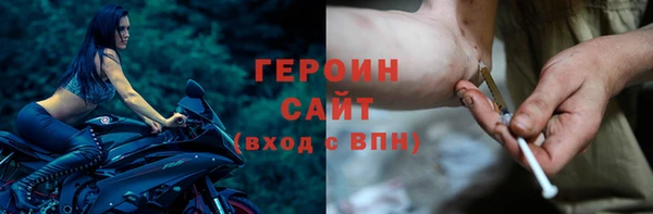 гашик Алексин
