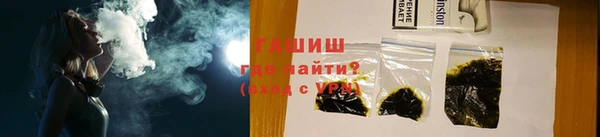 гашик Алексин