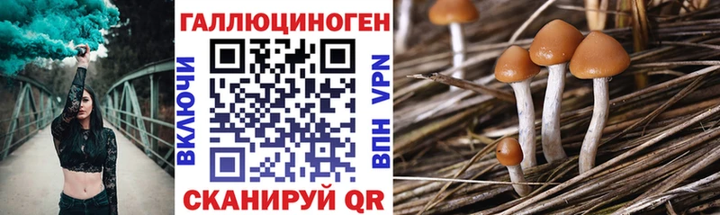 Галлюциногенные грибы прущие грибы  Одинцово 
