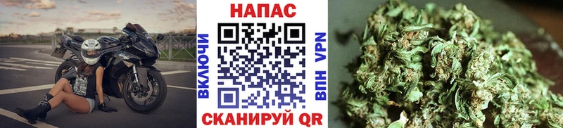 наркошоп Одинцово Каннабис семена